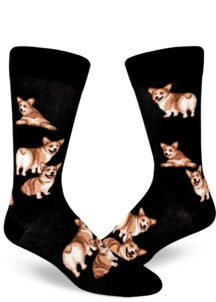 Corgis lay around on these black men's crew socks.