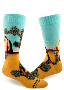 Joshua Tree national park men's socks