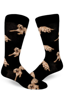 Labradors lay around on these black men's crew socks.