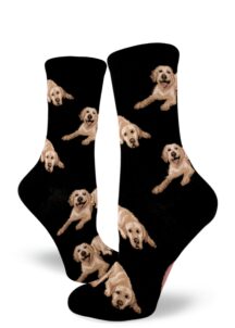 Labradors lay around on these black women's crew socks.