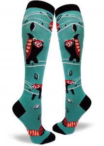Red panda socks in knee high, in a teal green.
