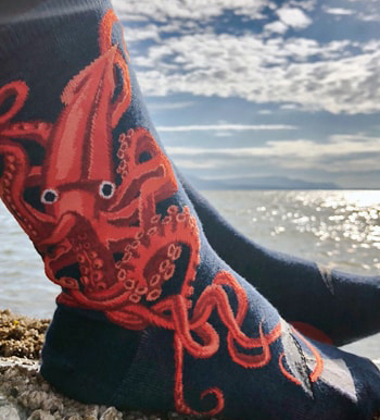 Squid socks by ModSocks with whale worn on the beach.