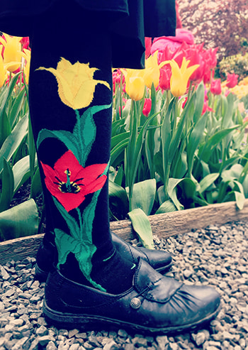 tulip-socks-modsocks-novelty-sock-brand-wholesale Tulip socks by ModSocks with flowers on black cotton knee high.