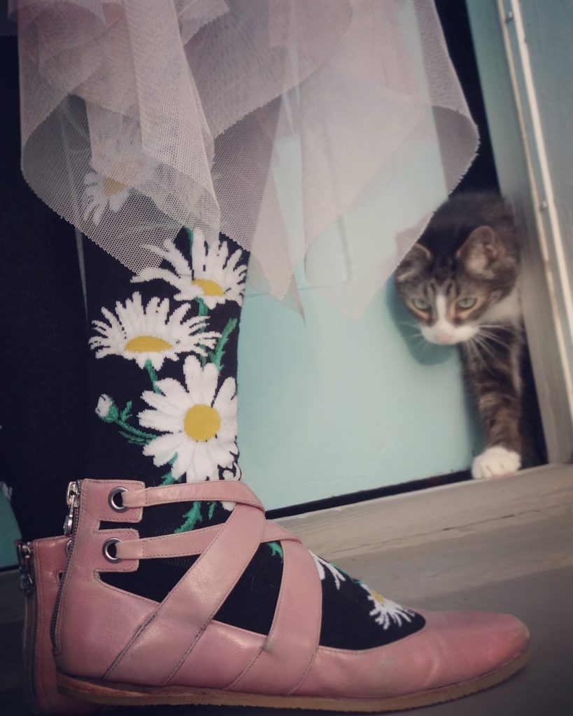 Daisy knee socks by ModSocks in black knee socks with daisies.