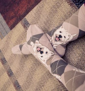 Cute westie terrier socks by ModSocks with taupe argyle pattern styles on person with feet crossed on patterned carpet.