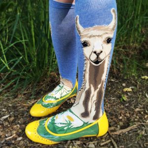 Llama socks by ModSocks look like alpaca socks worn with cute style.