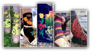 Novelty socks by ModSocks with avocados, a California bear, tulip flowers, rainbow stripes in knee high sock styles.