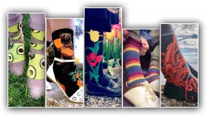 Novelty socks by ModSocks with avocados, a California bear, tulip flowers, rainbow stripes in knee high sock styles.