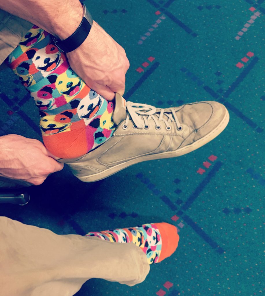Pit bull socks for men by ModSocks in Andy Warhol pop art style for art lovers and artists.