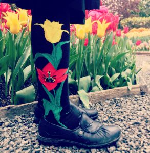 Tulip socks by ModSocks in knee high standing in a tulip garden.