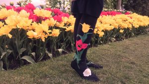 Tulip socks by ModSocks in knee high standing in a tulip field.