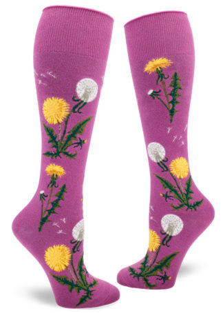 Dandelion knee socks with bright yellow flowers, white seed heads and green leaves on a magenta background.